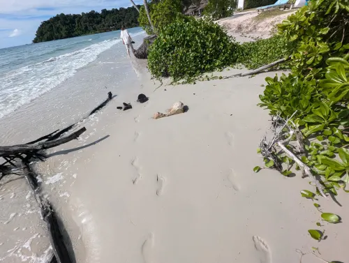 kohkood beach 6 olw23g - Hallo Koh Kood!