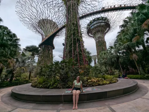 sg trees anna lookup qwe2md - Hallo Singapur!