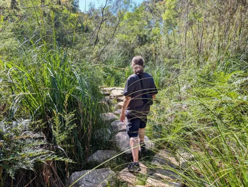 grampians mackenziefalls walking 2 tlwts8 - Roadtrip!