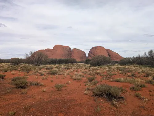 katatjuta view 2 wfzptn - Hallo Uluru!