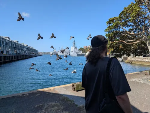 sydney birds chris gajnco - Hallo Sydney!