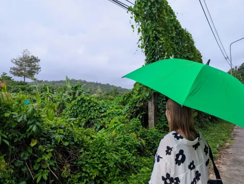 kohkood rain 1 lebnyt - Hallo Koh Kood!