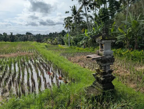 bali ubud campuhan view clpnrl - Hallo Bali!