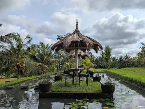 bali ubud bambookitchen krytzo - Hallo Bali!