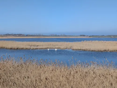 de fehmarn deich view fjzla0 - Urlaub vom Reisen