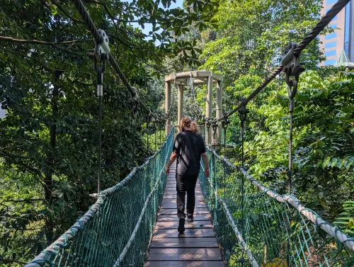 kl treetop walk chris trmmdf - Hallo Kuala Lumpur!