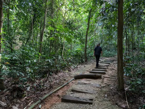 kl walk green chris xpyhzo - Hallo Kuala Lumpur!