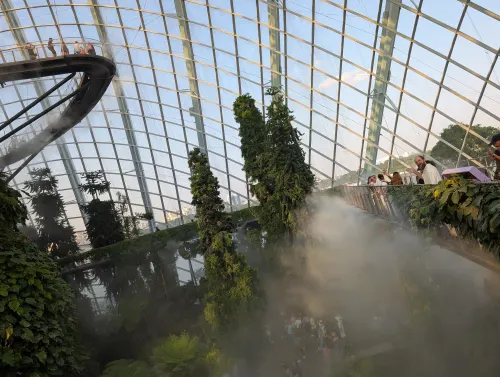 sg cloudforest mist chris xgbkon - Hallo Singapur!
