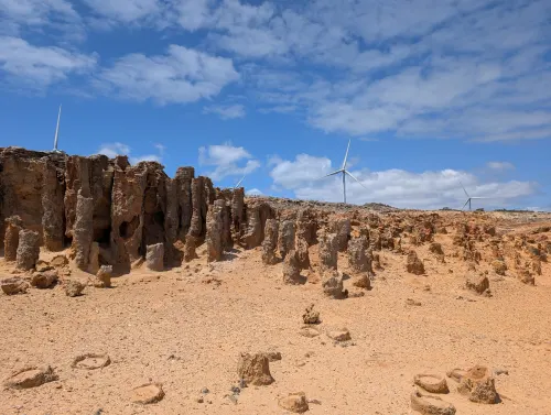 oceanroad bridgewater petrified forest q8knob - Roadtrip!