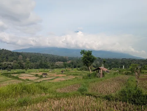 bali roadtrip 2 es0mx9 - Hallo Bali!