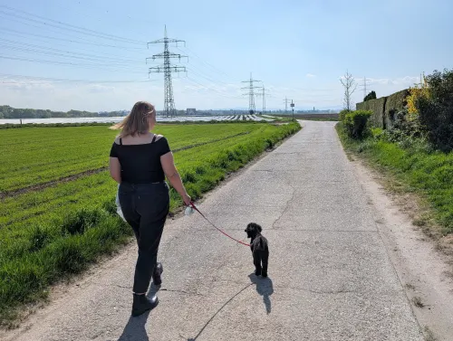 de anna dog walk osw597 - Urlaub vom Reisen