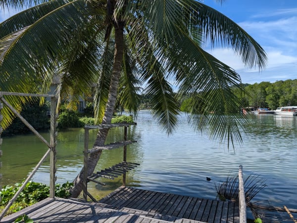 05_kohkood_little_white_bird_2_tfpabc