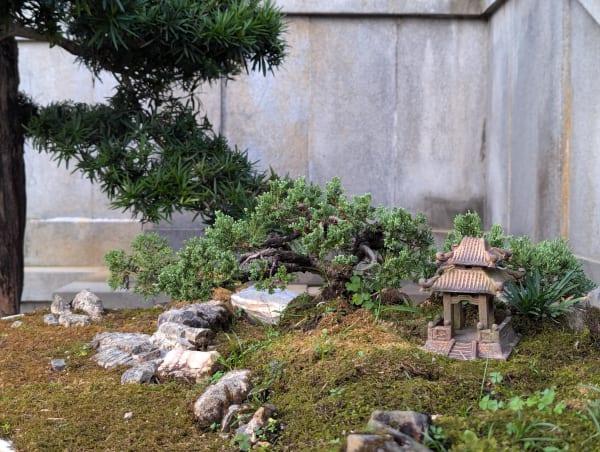 07_hk_chi_lin_4_opty8r