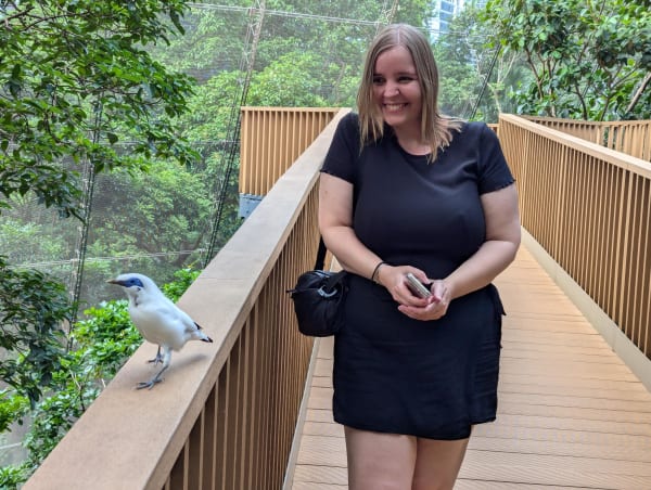 09_hk_aviary_2_fe1xoi