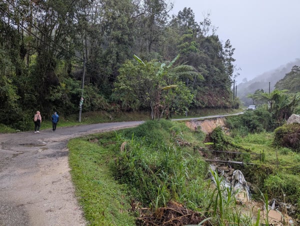 09_mys_rainy_walk_far_tefhcz