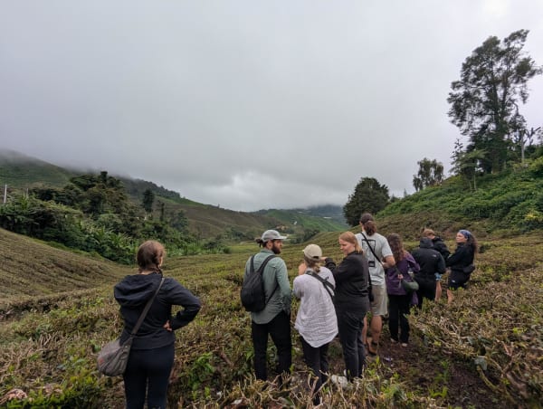 11_mys_brown_field_group_ybk6vb