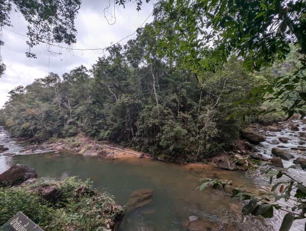 19_kohchang_waterfall_path_3_wpx6ip