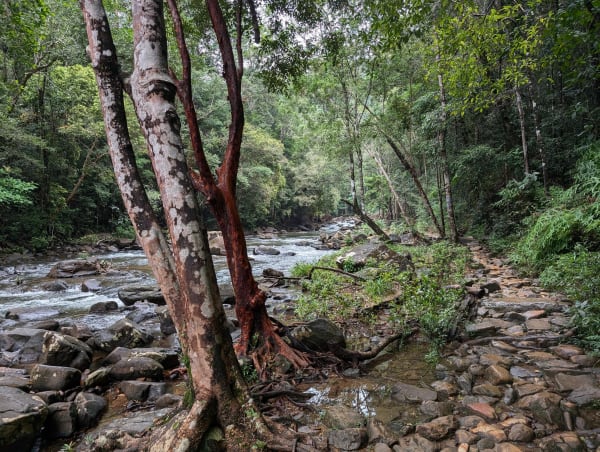 20_kohchang_waterfall_path_2_pmbjbt