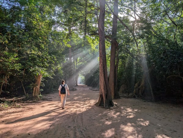 35_cambodia_ta_prohm_aussen_1_zmzzxv