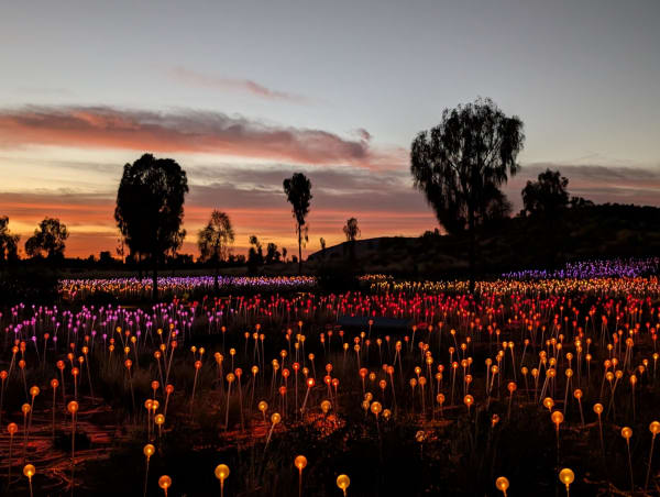 35_fieldoflights_sunrise_cd9am5