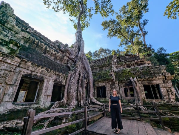 41_cambodia_ta_prohm_baum_4_hjhqh1