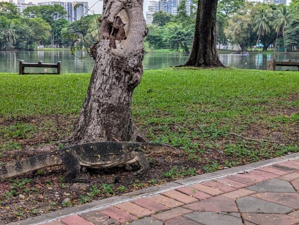 44_bkk_lumpini_2_v5e6eg