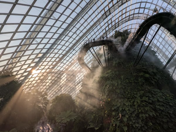 49_sg_cloudforest_mist_view_wpceis