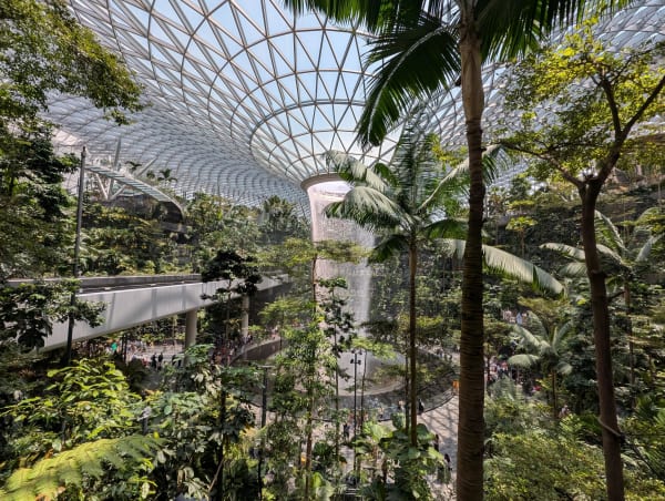 71_sg_airport_jewel_landscape_tg3ggk