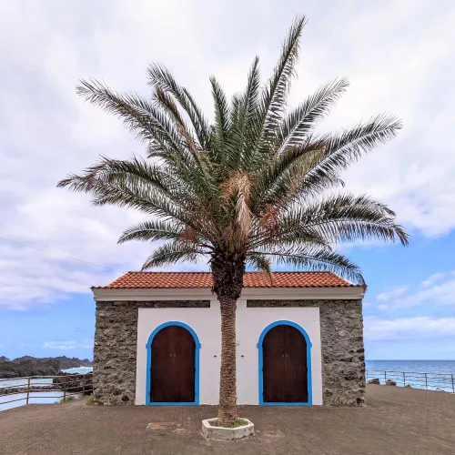 madeira seixal 1 o15gt6 - Hallo Welt!