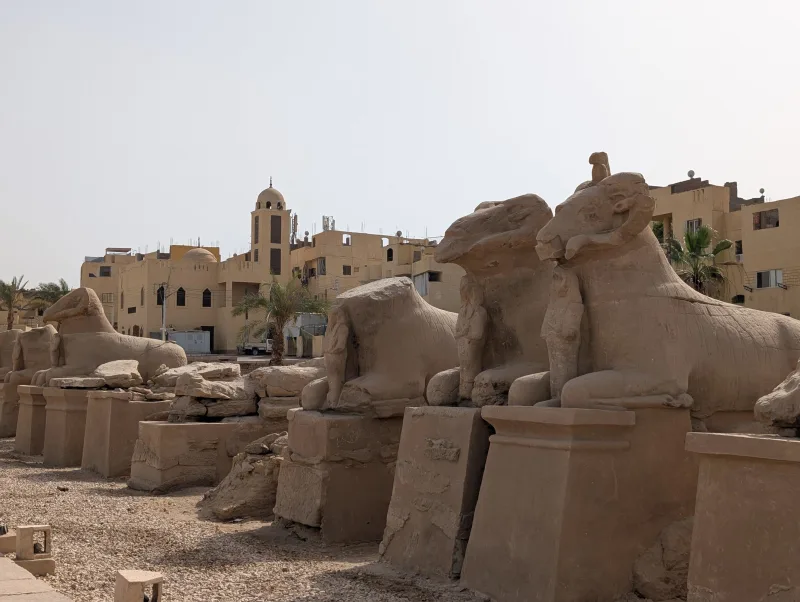 31_luxor_karnak_outside_sphinxes_side_w1pm4u - Hallo Luxor!