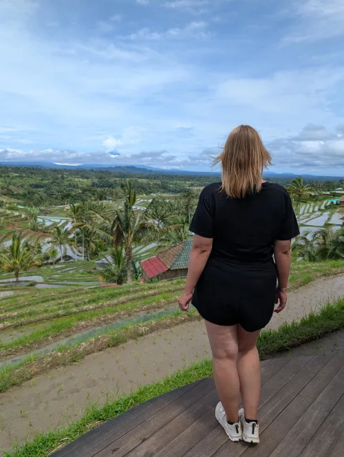 bali rice anna view ah3x1g - Hallo Bali!