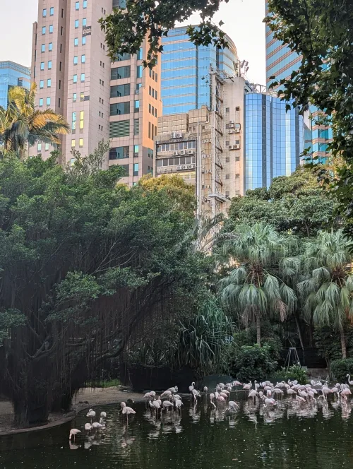 hk kowloon park hyxzz8 - Hallo Hong Kong!