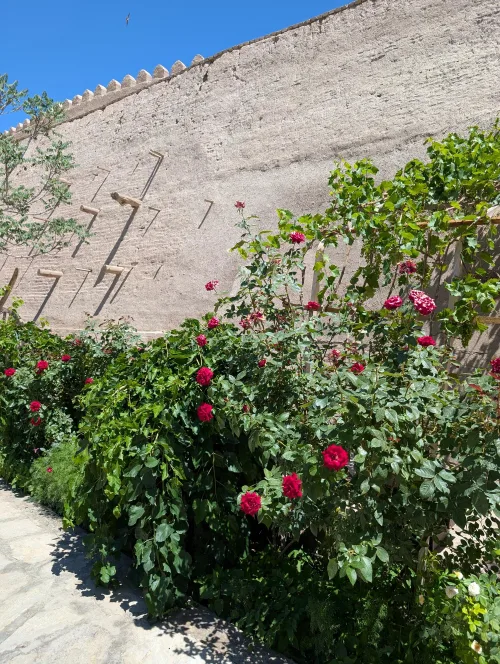 uz khiva impression 05 e7otiy - Wo das Meer Verschwand
