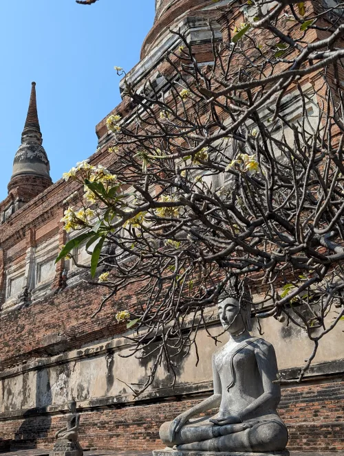 ayutthaya wat2 view 2 qvlblb - Nochmal Bangkok