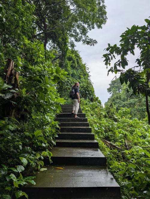 bali ubud monkeys chris 3 arwr0j - Hallo Bali!