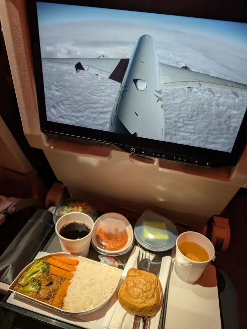 mys airplane food yw6xip - Heimweh