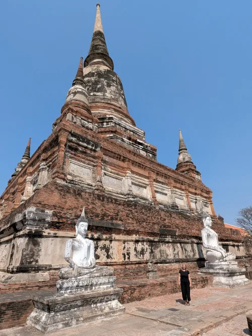 ayutthaya wat2 view 1 bfqagk - Nochmal Bangkok