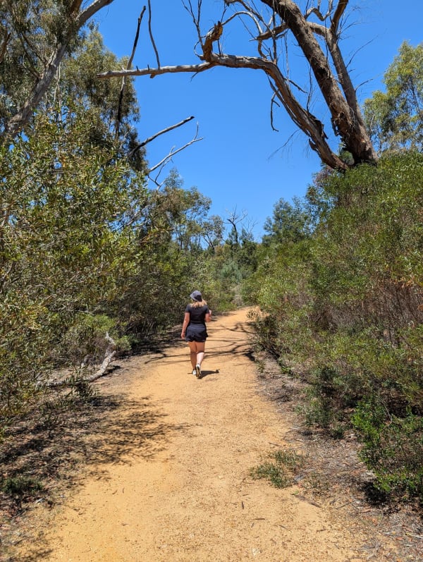 07_grampians_beehivefalls_walk_nz4bsj