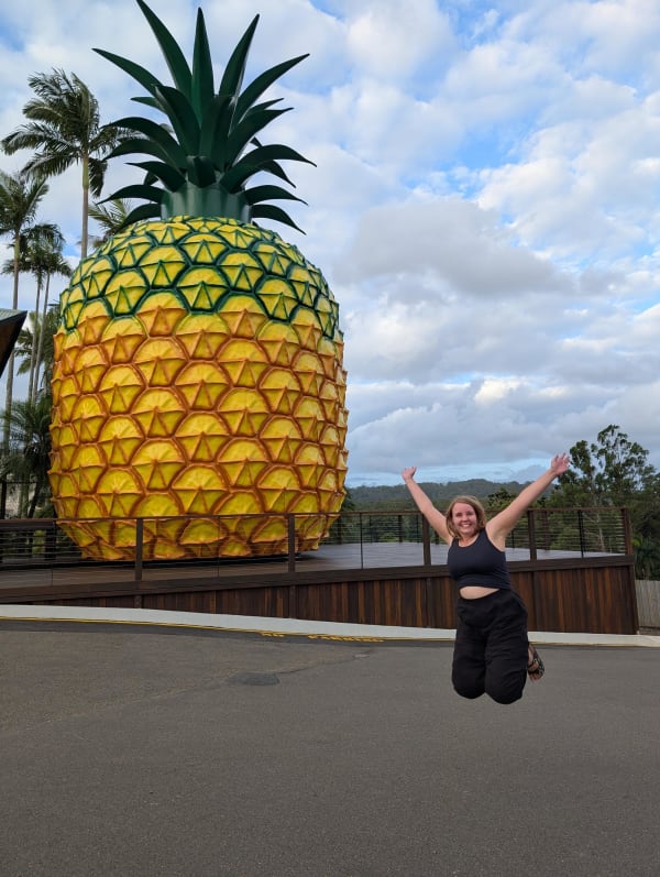 10_queensland_ananas_za6pfg