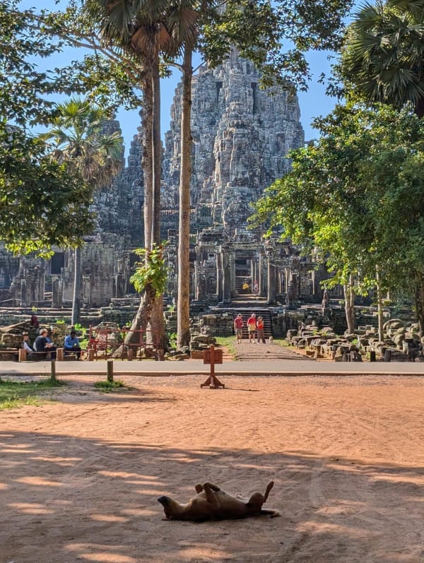 24_cambodia_angkor_thom_bayon_aussen_hund_tumemq