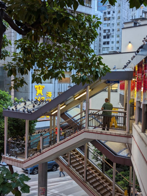 27_hk_impressons_8_ee35cc