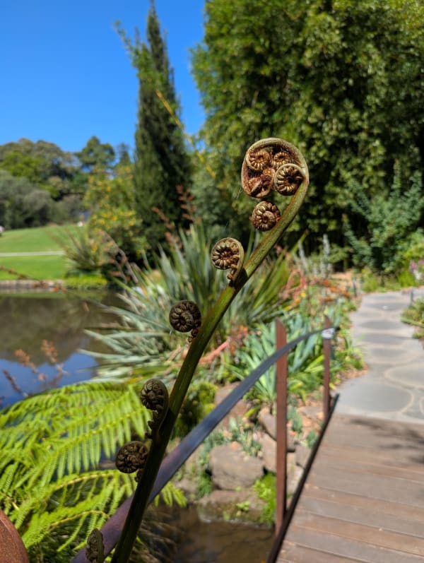 27_melbourne_botanical_garden_detail_qumw0z