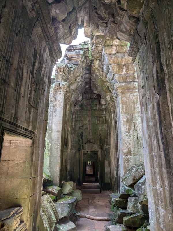 36_cambodia_ta_prohm_gang_xktiug