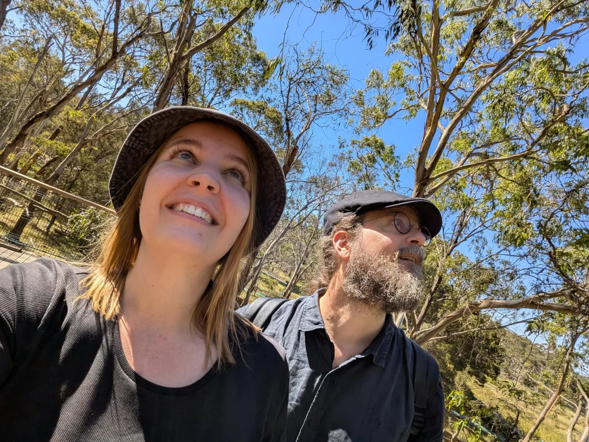 37_phillipisland_sanctuary_searching_iiebdu - Hallo Melbourne!