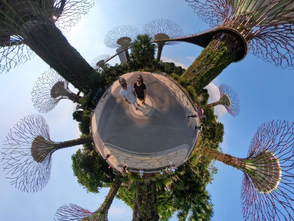 sg trees pano export pkzni7 - Hallo Singapur!