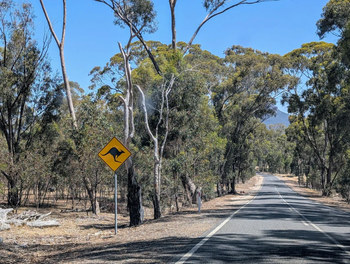 grampians road 2 - Roadtrip!