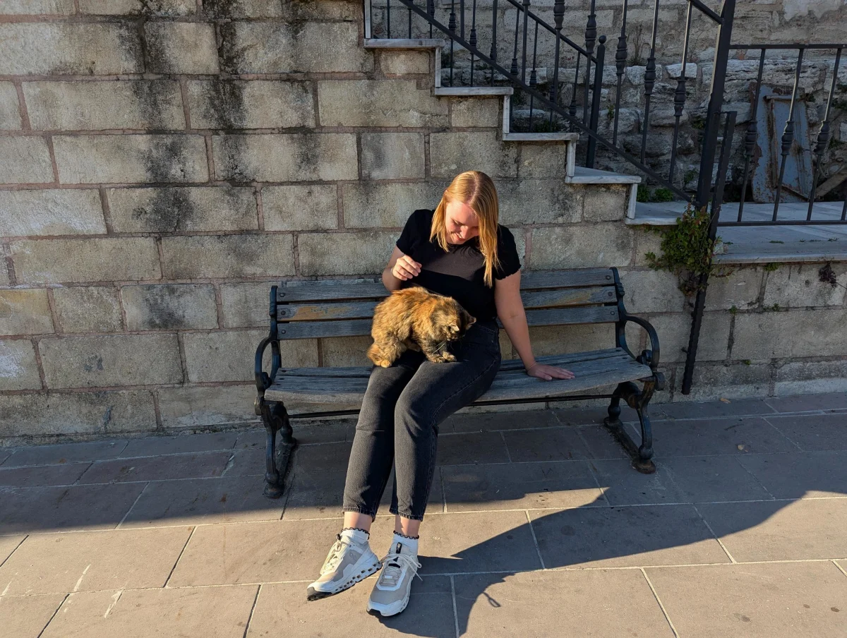 28_istanbul_cat_anna_zxqvj0 - Hallo Istanbul!