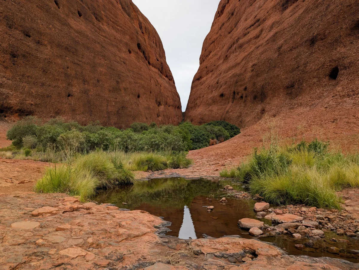 30_katatjuta_pond_u9tvwd - Hallo Uluru!