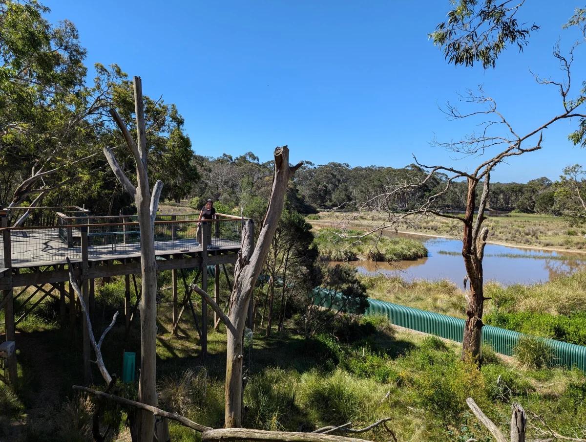 phillipisland sanctuary view c256w9 - Hallo Melbourne!