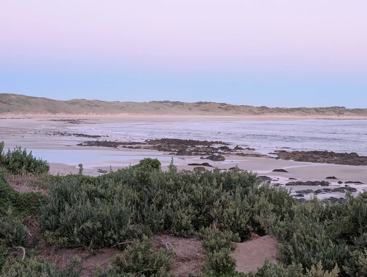 phillipisland penguinparade dawn mj4ehx - Hallo Melbourne!